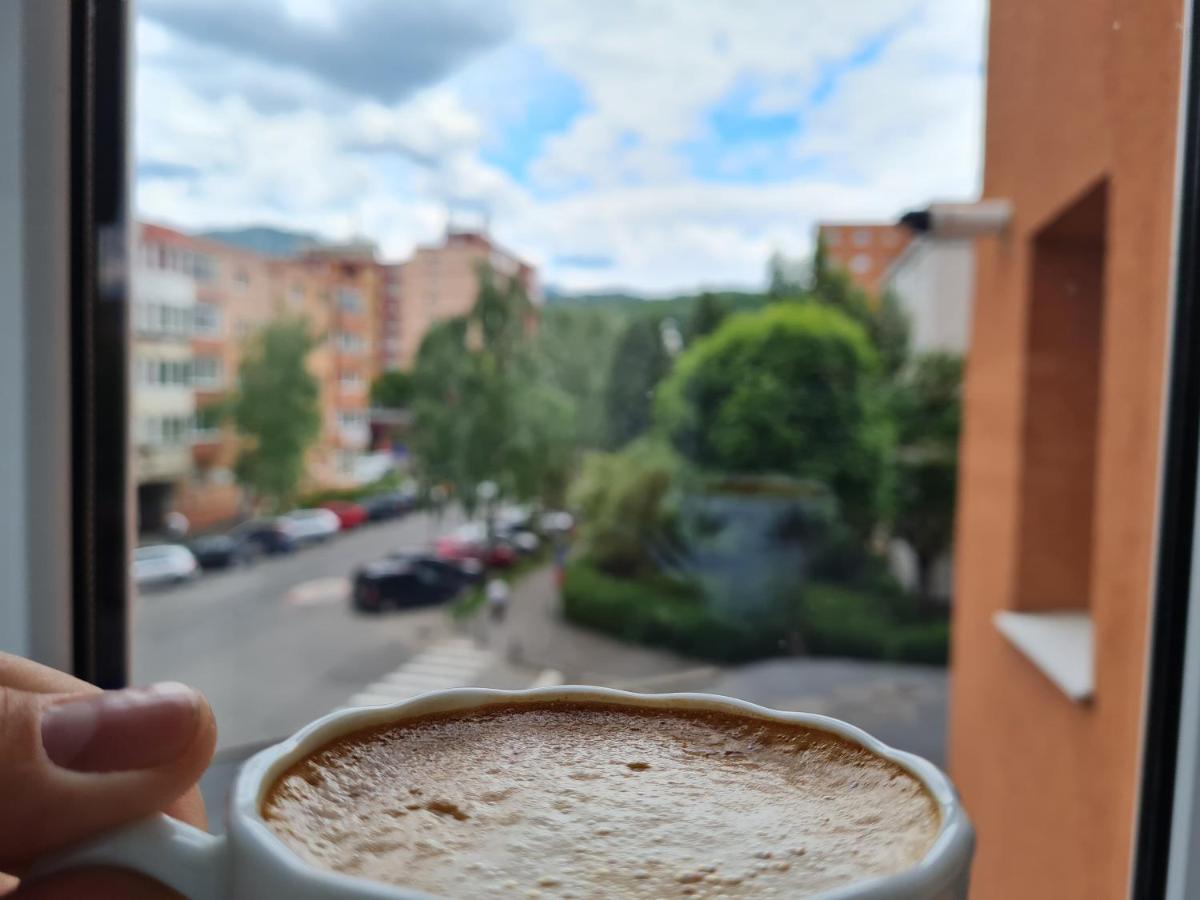 Smart Apartament Brașov Exterior foto